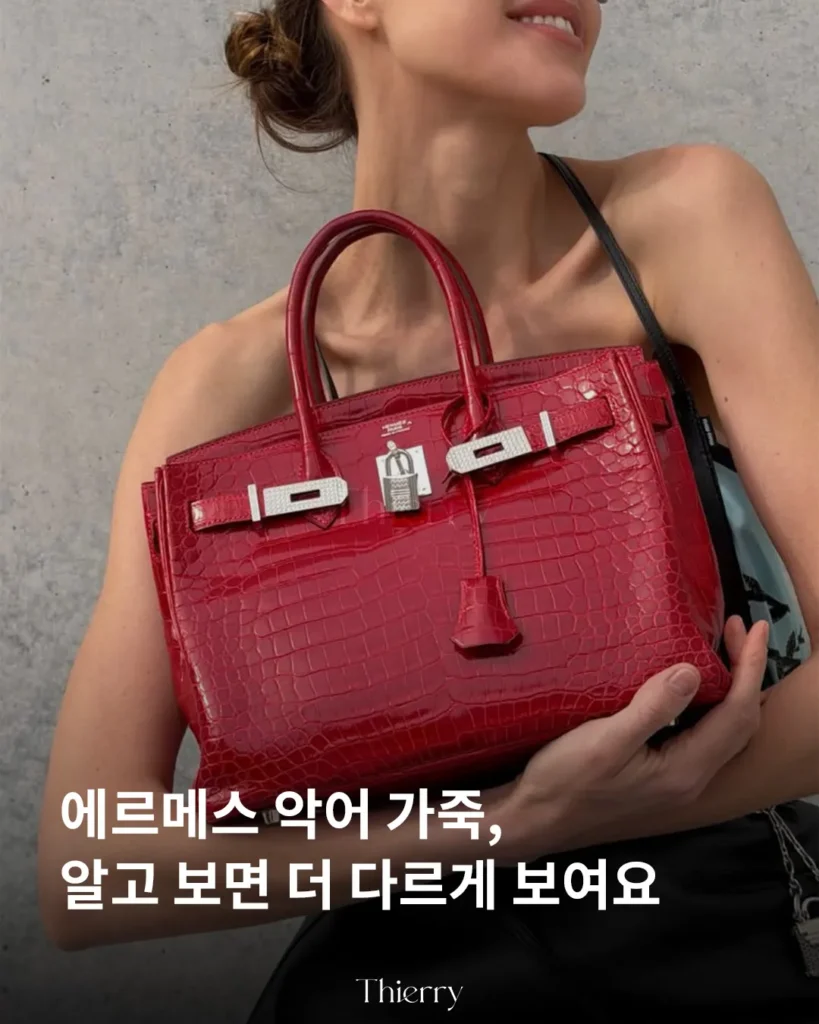 처음엔 다 비슷해 보여도, 악어 가죽은 알고 보면 꽤 많은 차이를 품고 있습니다.