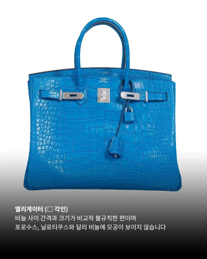 처음엔 다 비슷해 보여도, 악어 가죽은 알고 보면 꽤 많은 차이를 품고 있습니다.