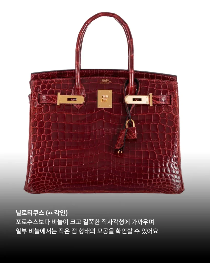 처음엔 다 비슷해 보여도, 악어 가죽은 알고 보면 꽤 많은 차이를 품고 있습니다.