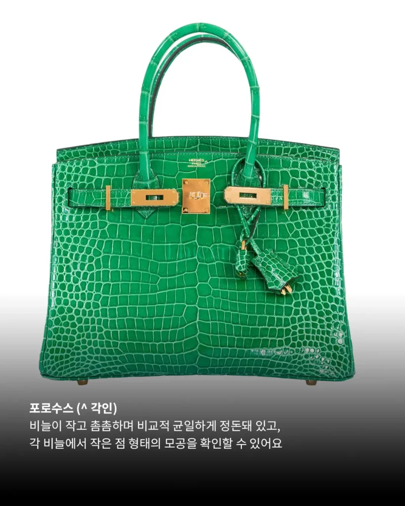 처음엔 다 비슷해 보여도, 악어 가죽은 알고 보면 꽤 많은 차이를 품고 있습니다.