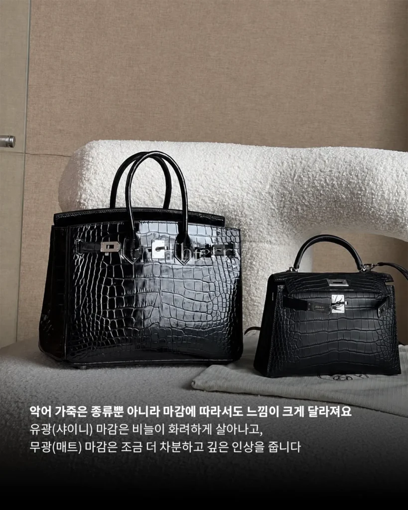 처음엔 다 비슷해 보여도, 악어 가죽은 알고 보면 꽤 많은 차이를 품고 있습니다.