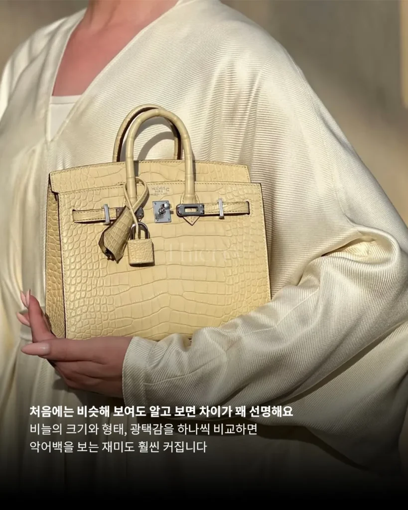 처음엔 다 비슷해 보여도, 악어 가죽은 알고 보면 꽤 많은 차이를 품고 있습니다.